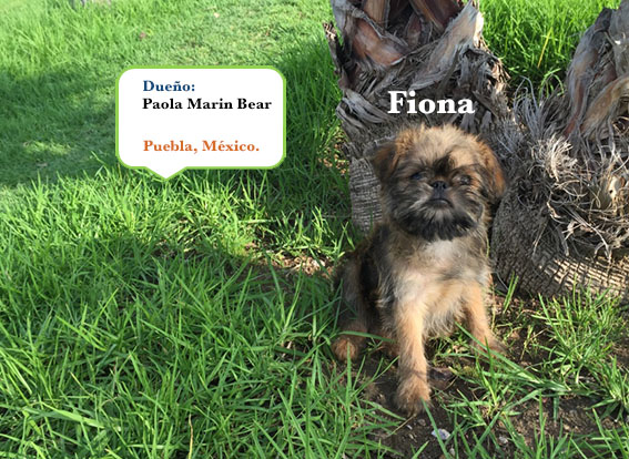 Fiona