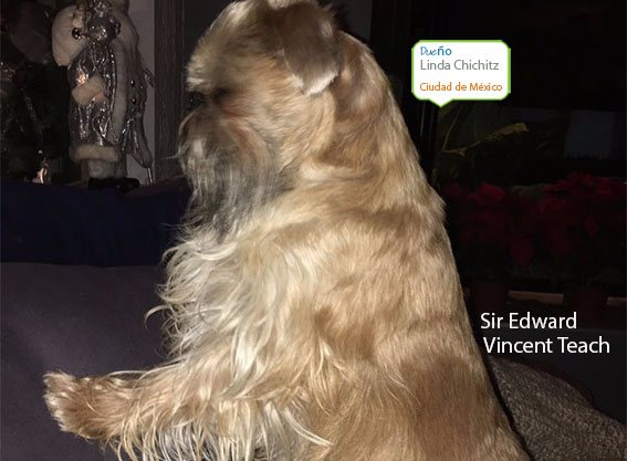 Sir Edward Vincent Teach