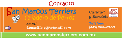 Forma de contactar con el criadero