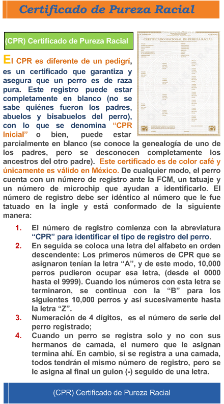 Certificado de pureza Racial (CPR)