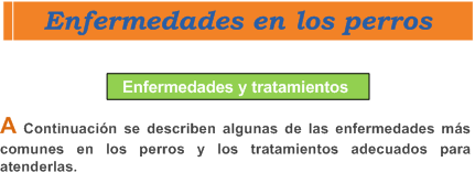 enfermedades en los perros