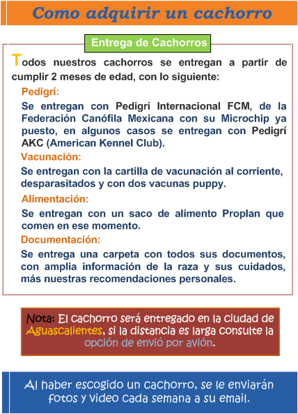 Caracter�sticas de la entrega de los cachorros