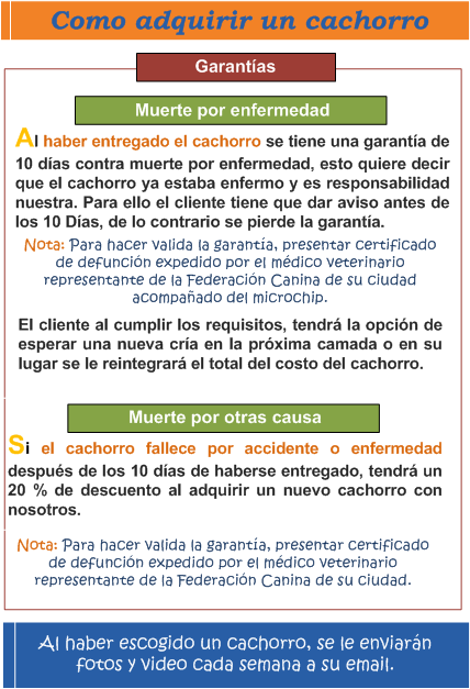 Informaci�n de garant�as en los perros