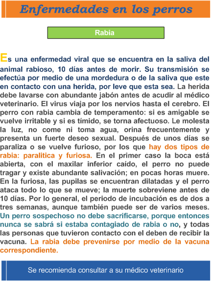 Informacion de la enfermedad de perros Rabia